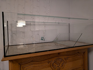Akvaarium - terraarium (2 foto / 2)