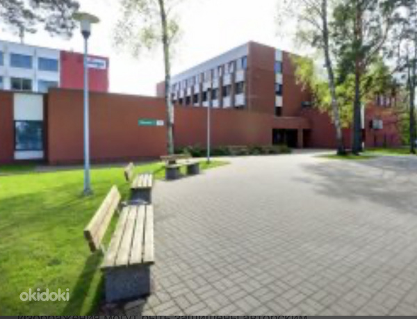 Tõlkija Tallinna ARK eksamile