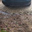 Audi A4 varuosadeks (foto #2)