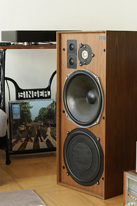 Celestion Ditton 25 kõlarid (3 foto / 10)