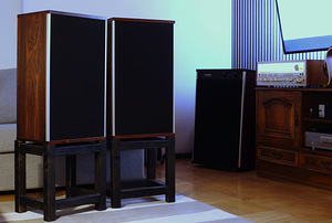 Tandberg TL5020 kõlarid (60W, ca 1974-77, 17kg) (4 foto / 9)
