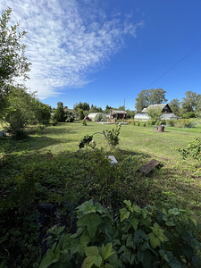 Õlelille tn 49, Kudruküla, Narva, Ida-Virumaa (2 foto / 14)