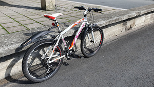Велосипед Botecchia FX510 (2 фото из 2)