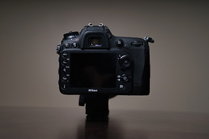 Nikon D7100 - Tamron SP 150-600mm F/5-6.3 Di VC USD G2 (6 foto / 10)