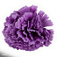 Головка искусственного цветка, гвоздика тёмно-сиреневая (фото #1)