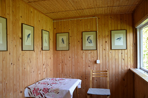 Pojengi tee 49, Pirita, Tallinn, Harjumaa (6 фото из 14)