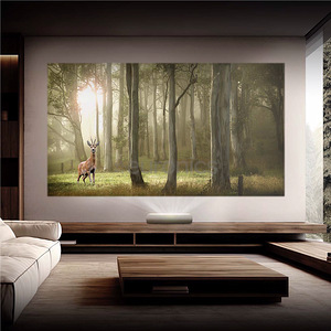 Laserprojektor Samsung The Premiere 9 (LPU9D), 4K, Triple (2 foto / 8)