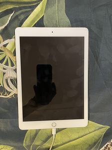 iPad Pro 1st Gen 9.7" (WiFi) / 128GB / MLMX2LL/A (4 foto / 6)