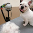 Уход за шерстью домашних животных в салоне «SJUST grooming». (фото #4)