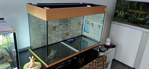 Akvaarium JUWEL 125L. (4 foto / 6)
