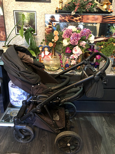 Last-vanker; Lapsevanker (7 foto / 10)
