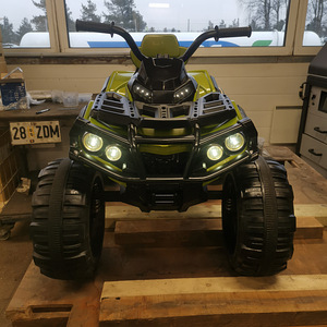 Elektriline ATV (9 foto / 9)