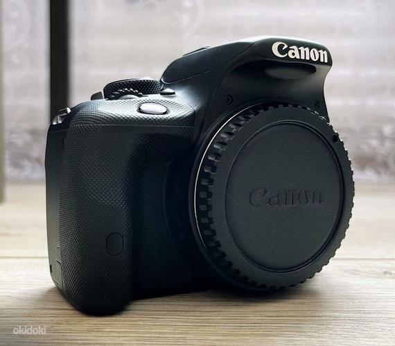 Canon EOS 100D + Canon 18-55 мм (фото #3)