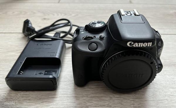Canon EOS 100D + Canon 18-55 мм (фото #6)