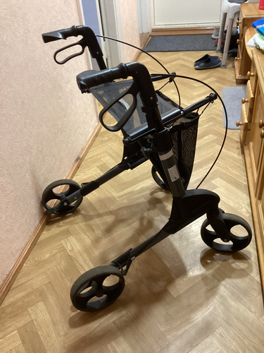 Rulaator