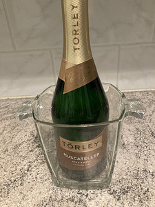COOLER CHAMPAGNE jaoks (2 foto / 2)