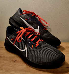 Nike Pegasus 40 NFL Chicago Bears edition (1 foto / 7)