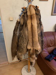 Kopra, kähriku, rebase nahad. (2 foto / 2)
