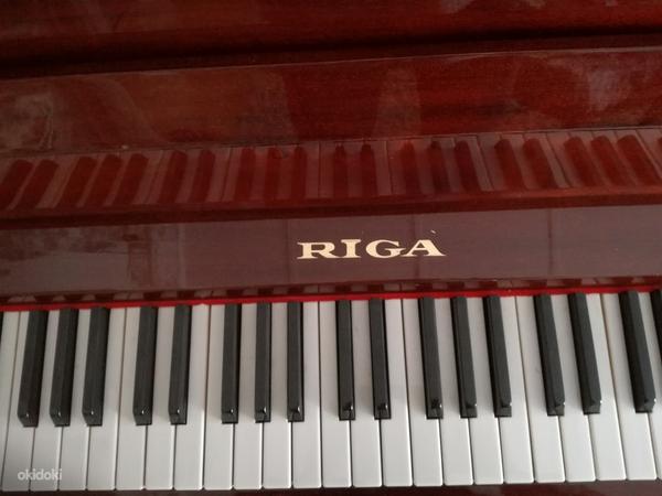 Klaver Riga (foto #2)