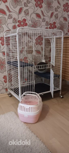 Ratastel näriliste puur