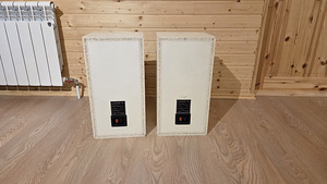 Vanakooli kõrgklassi kõlarid Audiovox (3 foto / 3)