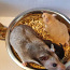 Süüria hamster müügiks (foto #3)