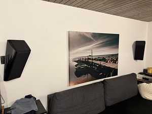 Настенные колонки Sonus Faber Wall Domus