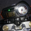 Honda CB600F Hornet 2007г. 71kw (фото #3)