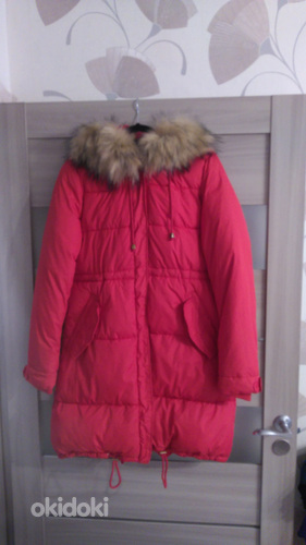 Tommy Hilfiger jope