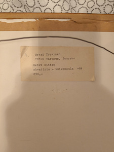 Meeri Torvinen maal (3 foto / 3)