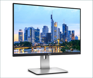 Dell UltraSharp U2415 (2 foto / 2)