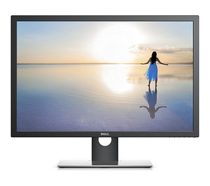 Dell UltraSharp UP3017 (1 foto / 2)