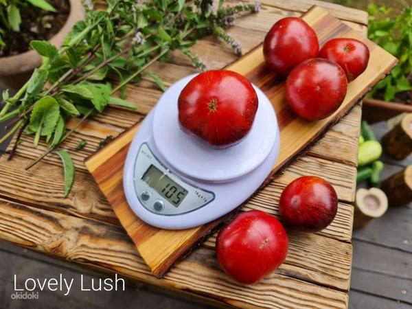 10 сортов полезных и вкусных помидоров с антоцианами! Семена (фото #6)