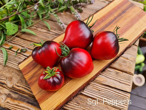 Семена вкусных сортовых томатов (7 фото из 10)