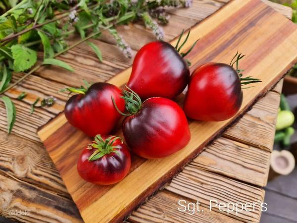 Семена вкусных сортовых томатов (фото #7)