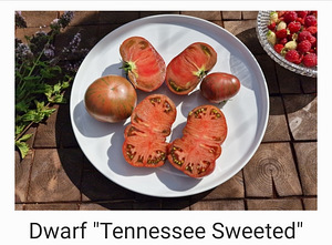 10 sordi maitsev ja eksootiline DWARF tomatit (seemned) (5 foto / 10)
