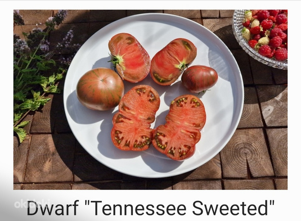10 сортов вкусных и экзотических томатов DWARF (семена) (фото #5)