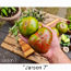 10 сортов красивых и вкусных экзотических помидоров с мякотью (семена) №3 (фото #2)