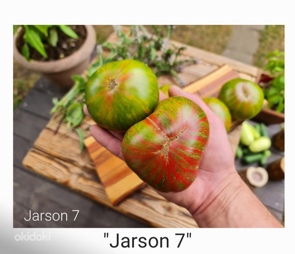 10 сортов красивых и вкусных экзотических помидоров с мякотью (семена) №3 (фото #2)