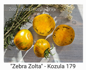 10 sordi ilus maitsev eksootiline liha tomatit (seemned) #3 (10 foto / 10)