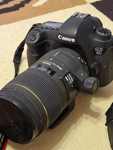 Canon 6D +Sigma 150/2.8 macro dg HSM (1 foto / 3)