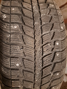205/50/17 Federal Himalaya WS2 naastrehvid 4tk (6 foto / 7)