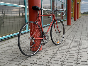 Sportratas "Start-highway" (5 foto / 7)