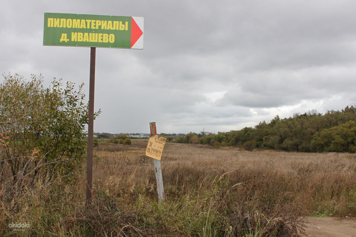 Погода ивашево ногинский