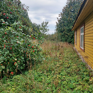 Adraku, Mustvee vald, Jõgevamaa (5 foto / 9)