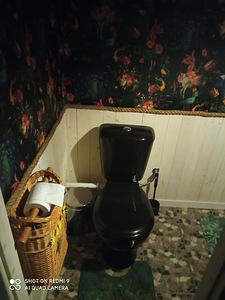 Sauanamaja üür (8 foto / 12)
