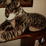 Большой Тигр (фото #1)