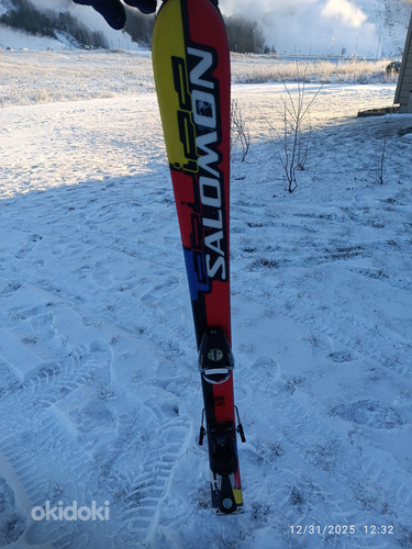 Mäesuusad Salomon 120 cm