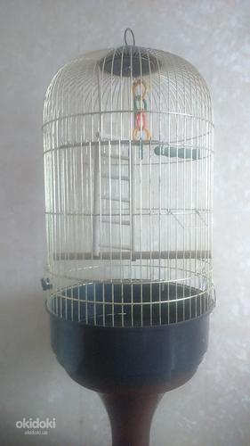 Итальянская клетка для попугаев (фото #1)