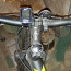 Müüa Bergamont jalgratas (foto #3)